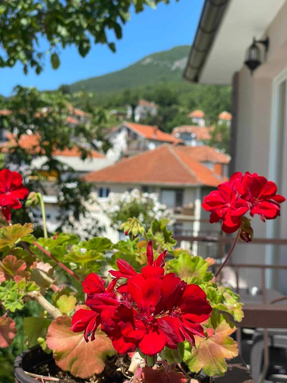 Gopo Guesthouse Elshani Buitenkant foto