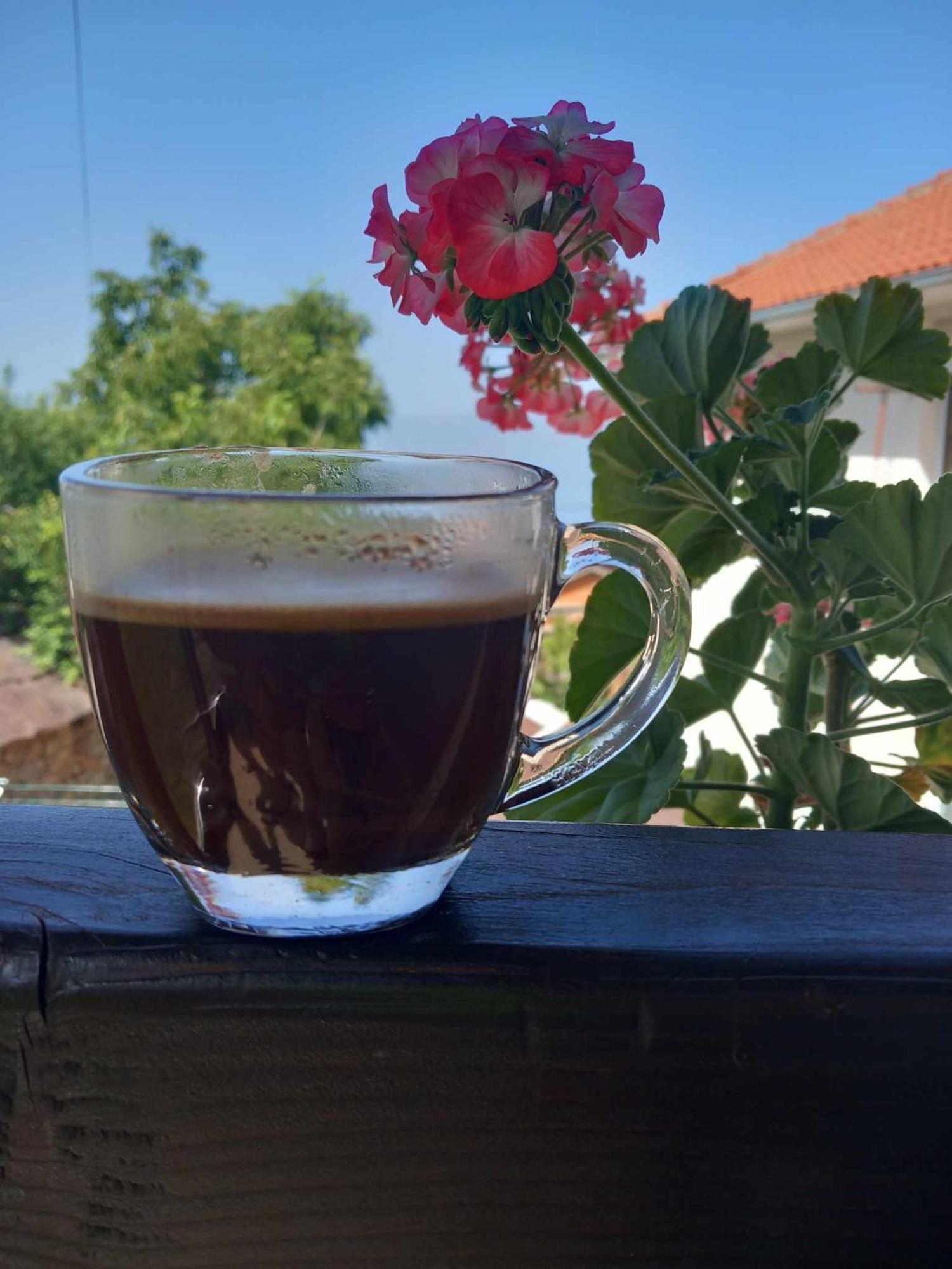 Gopo Guesthouse Elshani Buitenkant foto