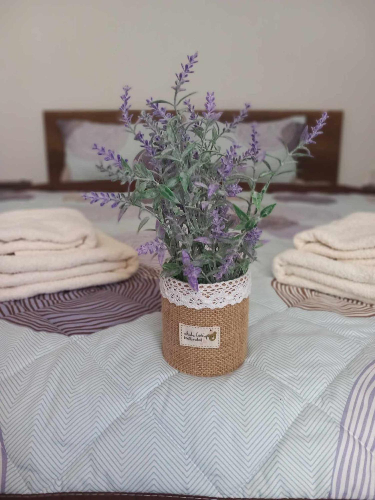 Gopo Guesthouse Elshani Buitenkant foto