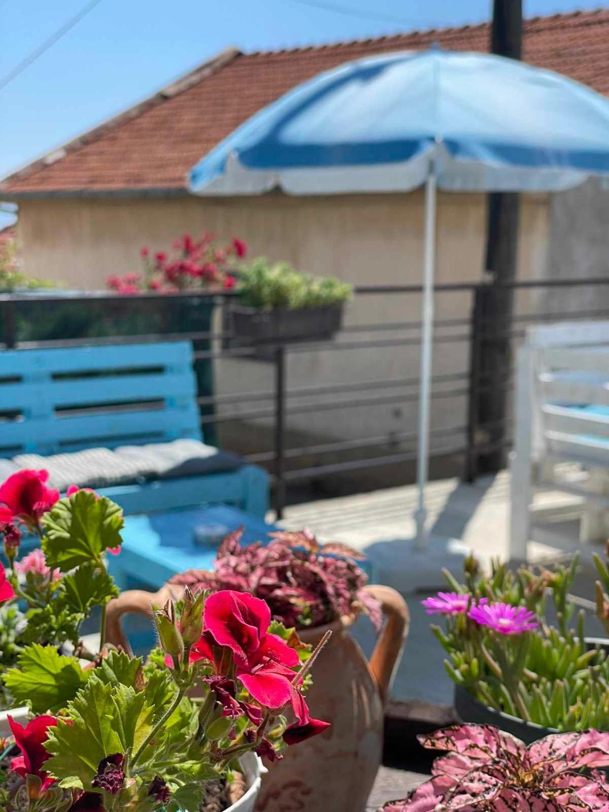 Gopo Guesthouse Elshani Buitenkant foto